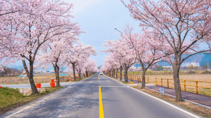 プロフィール背景２